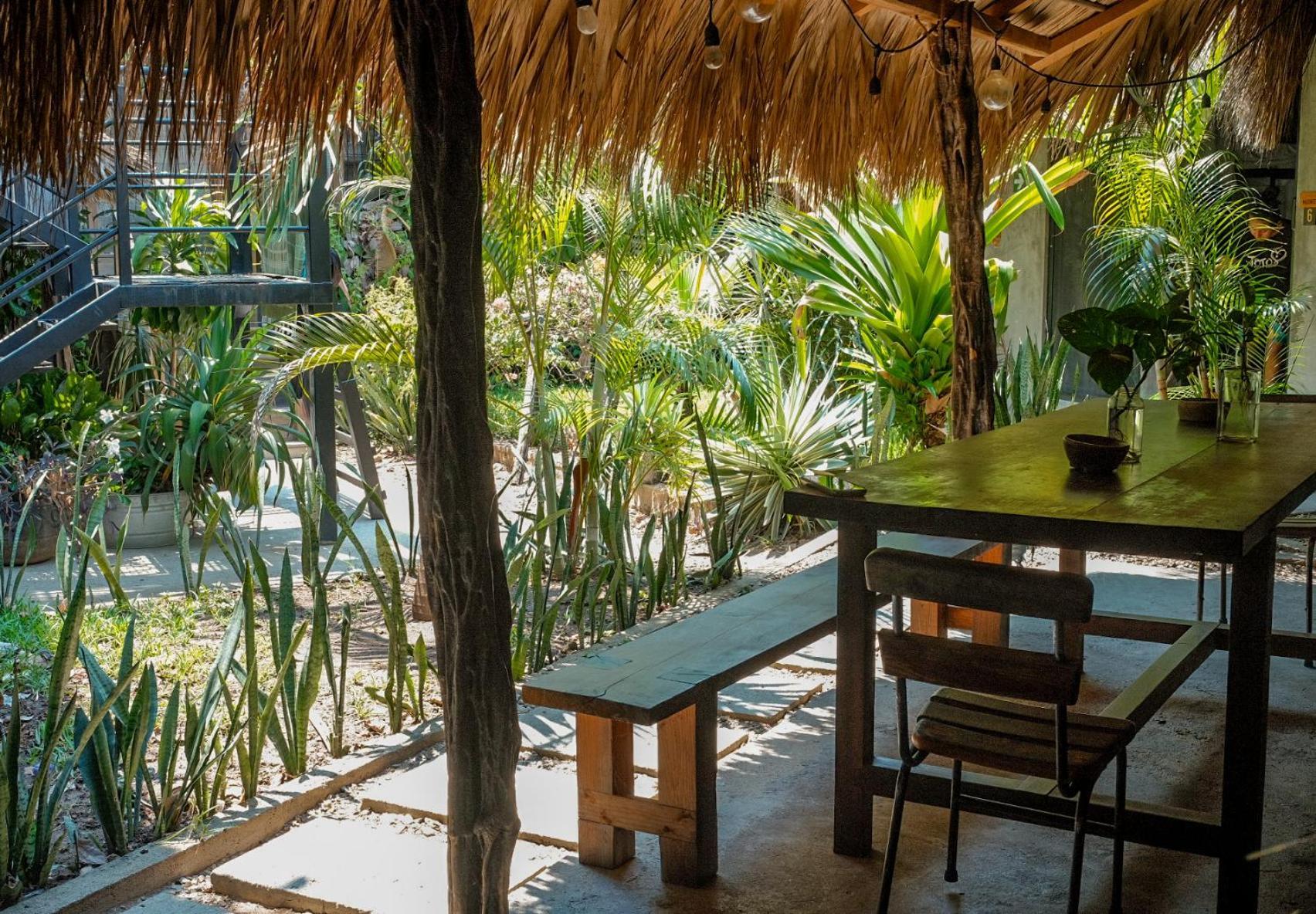 Hostel Puerto Dreams H Puerto Escondido  Exteriér fotografie